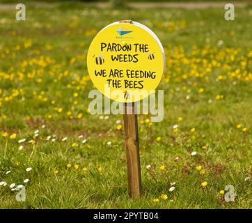 Signe sur le vert de Westleton encourageant la création d'un paysage d'abeille amicale, promu par le Conseil du Suffolk est. Banque D'Images