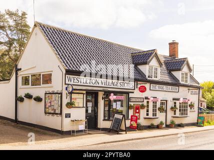 Vue sur une boutique traditionnelle du village et un salon de thé. Westleton Village Stores et le Snug Tea Room. Suffolk, Royaume-Uni Banque D'Images