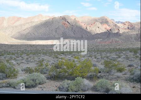 Redstone Dune Trail au Nevada. Banque D'Images