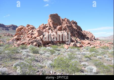 Redstone Dune Trail au Nevada. Banque D'Images