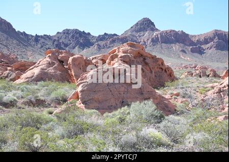 Redstone Dune Trail au Nevada. Banque D'Images