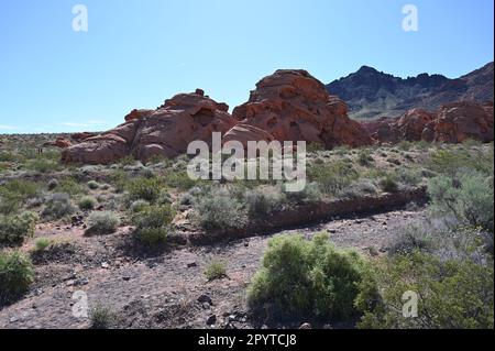 Redstone Dune Trail au Nevada. Banque D'Images