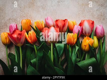 Vue en hauteur d'un bouquet coloré de fleurs de tulipe coupées sur une surface beige. Banque D'Images