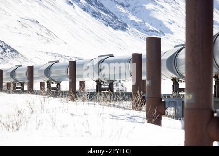 Réseau de pipelines de la TransAlaska sur la route Dalton Banque D'Images