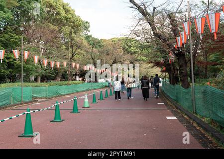 TOKYO, JAPON - 8 AVRIL 2023 : personnes marchant dans le parc Ueno au printemps en avril Banque D'Images