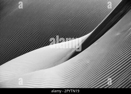 Algérie, Kerzaz. Sandsea de l'Ouest. (Grand Erg Occidental). Désert du Sahara. Dunes de sable. Gros plan. Noir et blanc. Banque D'Images