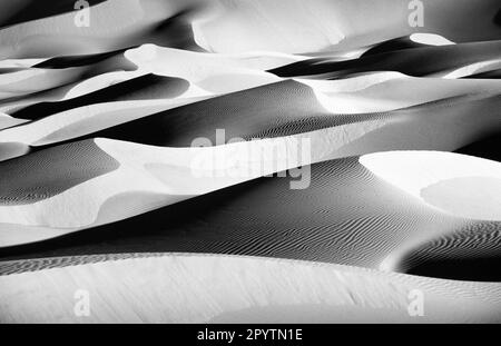 Algérie, Kerzaz. Sandsea de l'Ouest. (Grand Erg Occidental). Désert du Sahara. Dunes de sable. Noir et blanc. Banque D'Images