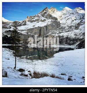 DE LA SÉRIE ADELBODEN paysage viticole au lac Oeschinensee près de Kandersteg près d'Adelboden, Oberland bernois, canton de Berne, Suisse la ville pittoresque d'Adelboden est une idylle suisse dans les Alpes bernoises, pics impressionnants, paysage d'hiver unique, domaine skiable populaire, pâturages alpins, cascades jaillissantes, maisons en bois confortables. En raison du changement climatique et de moins en moins de neige, le complexe sportif classique d'hiver se réoriente et la saison estivale devient de plus en plus importante. Photo prise avec iPhone, application Hipstamatic. Banque D'Images