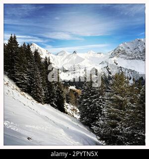 DE LA SÉRIE MONTAGNES ADELBODEN dans le paysage viticole à Adelboden, Oberland bernois, canton de Berne, Suisse. La ville pittoresque d'Adelboden est une idylle suisse dans les Alpes bernoises, des sommets impressionnants, un paysage d'hiver unique, un domaine skiable populaire, des pâturages alpins, cascades jaillissantes, maisons en bois confortables. En raison du changement climatique et de moins en moins de neige, le complexe sportif classique d'hiver se réoriente et la saison estivale devient de plus en plus importante photo prise avec iPhone, application Hipstamatic. Banque D'Images