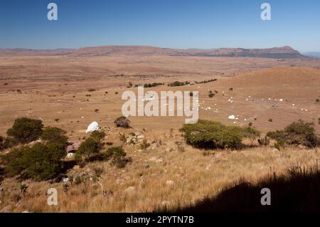 Vue panoramique depuis la colline d'Isandlwana montrant l'étendue et la répartition des tombes britanniques. Banque D'Images