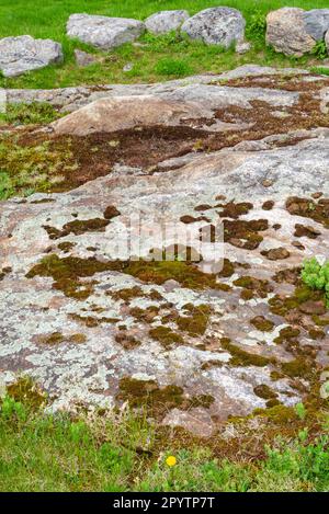 Site historique colonial de l'État de Pemaquid dans le Maine Banque D'Images