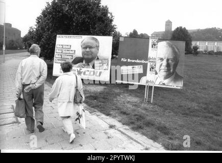 Affiches électorales des différents partis pour l'élection d'État dans le Brandebourg. Publicité électorale. Campagne électorale. Élections. Politique. Photo:MAZ/Michael Hübner, 08.09.1994 [traduction automatique] Banque D'Images