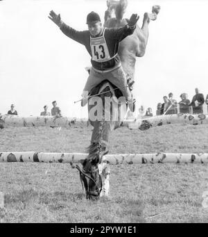 Essais olympiques 24.09.1971 à Munich : chute d'Istvan Szabassy sur Dobo. Cavalier et cheval restant non blessé [traduction automatique] Banque D'Images