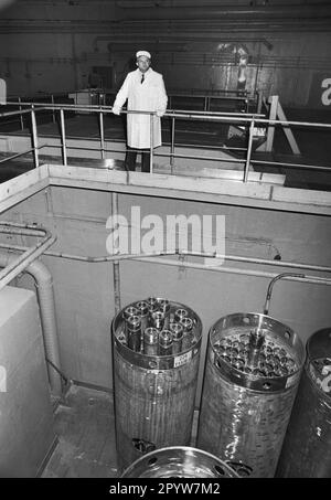 Bulgarie, Kozloduy, 14-11-1991. Archive: 30-03-11 la centrale nucléaire de Kozloduy est la seule centrale nucléaire en activité en Bulgarie. Il est situé à 200 kilomètres au nord de Sofia et à cinq kilomètres à l'est de Kozloduy, sur le Danube. La construction de la centrale nucléaire a commencé à 6 avril 1970. Photo: Vue sur les barres de combustible de Kozloduy NPP. [traduction automatique] Banque D'Images