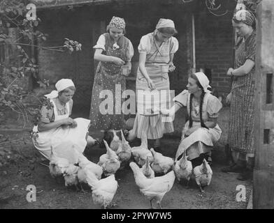 Formation au Kurmärkische Haushaltschule du BDM à Neuzelle: Nourrir les poulets. Photo: Douanes [traduction automatique] Banque D'Images