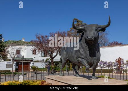 Monument à un taureau de combat, Ronda bullring, Plaza de Toros, province de Malaga, Andalousie, Espagne Banque D'Images