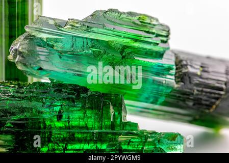 Trois cristal brut vert brésilien de tourmaline avec fond blanc, Brésil Banque D'Images