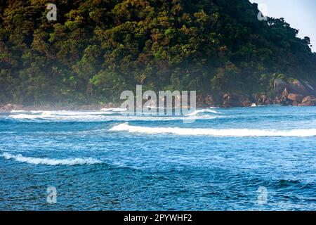 Plage paradisiaque avec la rencontre de la forêt tropicale préservée et de la mer à Bertioga dans l'état de Sao Paulo, Brésil, Brésil Banque D'Images