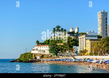 Plage complète en journée ensoleillée avec mer calme en été de la ville de Salvador à Bahia, Brésil, Brésil Banque D'Images