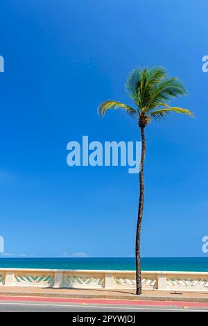 Front de mer et avenue océanique dans la zone urbaine de la ville de Salvador, Bahia, Brésil Banque D'Images