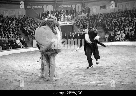 Stars of the Manège-The Golden Ten 1966 [traduction automatique] Banque D'Images