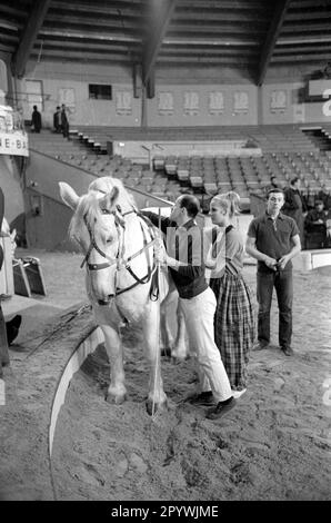 Stars of the Manège-The Golden Ten 1966 [traduction automatique] Banque D'Images