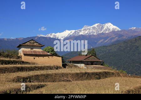 Fermes et chaîne d'Annapurna enneigée. Scène près de Ghale Gaun, Népal. Banque D'Images