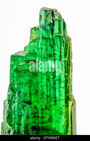 Cristal brut de tourmaline vert brésilien avec fond blanc, Brésil Banque D'Images