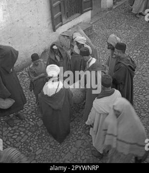 Un mouton est vendu sur un marché à Tétouan. Les hommes inspectent les moutons. Banque D'Images