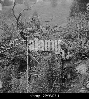 'Le 1 juin 1931, l'observatoire des rapaces a été ouvert à Garmisch. Trois oiseaux de proie doivent être réintroduits dans le désert après l'élevage. Ici, un employé montre des buzzards communs près de la ''Almhuette'' (cabine alpine) sur Kramerberg au-dessus de Garmisch.' Banque D'Images