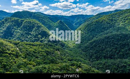Antenne du site de l'UNESCO Réserve du Sud-est de la Forêt atlantique, Parc d'Etat touristique d'Alto Ribeira, Etat de Sao Paulo, Brésil Banque D'Images