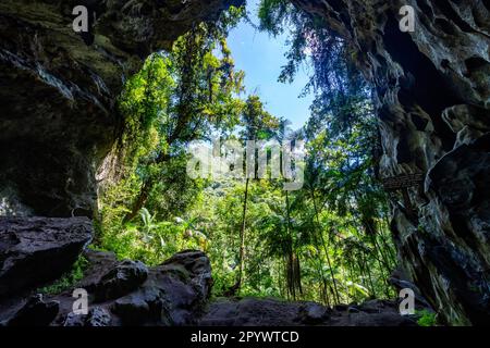 Grotte de Santana, site de l'UNESCO réserves du Sud-est de la forêt atlantique, parc régional touristique d'Alto Ribeira, état de Sao Paulo, Brésil Banque D'Images