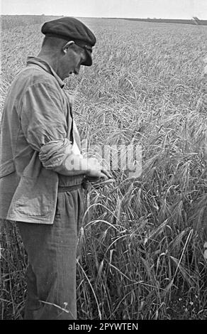 Un agriculteur en face de son champ à Haage. Haage est un nouveau village agricole qui a été construit dans le cadre du programme nazi de colonisation. Photo non datée d'environ 1936. Banque D'Images