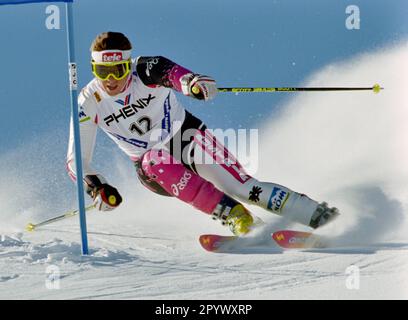 SKI ALPIN SAISON 95/96 Championnats du monde 1996 Sierra Nevada Giant Slalom Men 13.02.1996 Christian MAYER (AUT) PHOTO: WEREK Pressebildagentur xxNOxMODELxRELEASExx [traduction automatique]- AUTRICHE OUT Banque D'Images