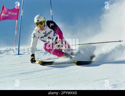 SKI ALPIN SAISON 95/96 Championnats du monde 1996 Sierra Nevada Giant Slalom hommes 13.02.1996 Hans KNAUSS (AUT) PHOTO: WEREK Press Picture Agency xxNOxMODELxRELEASExx [traduction automatique]- AUTRICHE OUT Banque D'Images