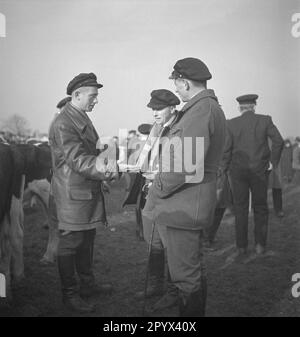 Visiteurs du marché à Zetel, Basse-Saxe: Trois jeunes hommes ayant une conversation. Banque D'Images