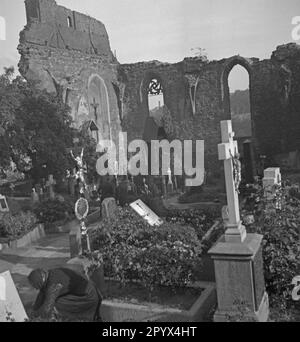 Photo non datée du petit cimetière dans les ruines de la rue Église Nicolai (haute-sorabe : Miklavsk) à Bautzen (haute-sorabe : Budysin) en haute-Lusatia, une ancienne zone d'occupation soviétique (SBZ, aujourd'hui État libre de Saxe). Il y a des tombes sur le sol et sur le mur. Tout autour, les contours de la nef. Banque D'Images