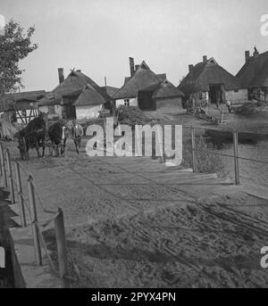 Un agriculteur mène une calèche au-dessus d'un pont dans un village de la côte Baltique de Pomerania (Kamp ou Deep). Banque D'Images