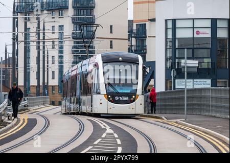 Trams pour le tramway de Newhaven sur Ocean Drive pendant les essais de l'itinéraire, Leith, Édimbourg, Écosse, Royaume-Uni Banque D'Images