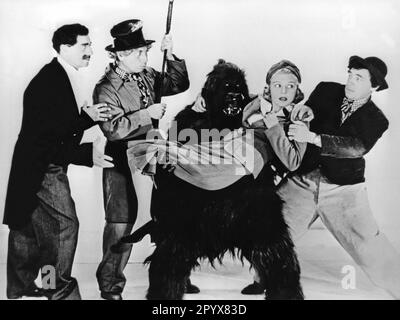 Film "les frères Marx au Cirque". La photo montre Harpo, Chico et Groucho Marx et Peerless Pauline (Eve Arden) sur le bras d'un Orang Utan. [traduction automatique] Banque D'Images