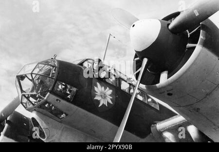 Le pilote d'un Junkers Ju 88 de Kampfgeschwader 51 (Edelweissgeschwader) donne des signaux manuels à l'équipage au sol. Photo: Grosse. [traduction automatique] Banque D'Images