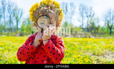 Un enfant examine les plantes avec une loupe. Mise au point sélective. Nature. Banque D'Images