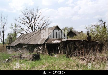 Date de la photo: 05.06.1998 un village abandonné dans la zone d'exclusion, à 8 kilomètres de la corée qui vole du réacteur ukrainien d'accident de Tchernobyl. [traduction automatique] Banque D'Images