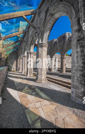 Ireland, Comté de Roscommon, Boyle, Abbaye de Boyle, fondée en 1161 par des moines cisterciens, l'allée nord avec son verre de 21st siècle et son bois de construction Banque D'Images