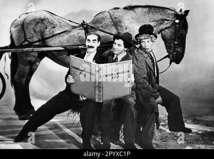 Groucho, Chico et Harpo Marx dans « les frères Marx : une journée aux courses ». Titre original: 'A Day at the races', réalisé par Sam Wood, USA 1937. [traduction automatique] Banque D'Images