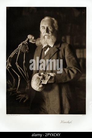 Ernst Haeckel (1834-1919), zoologiste et philosophe allemand. Photographie de Nicola Perscheid. Photo: Heliogravure, Corpus Imaginum, Collection Hanfstaengl. [traduction automatique] Banque D'Images