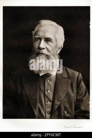 Ernst Haeckel (1834-1919), zoologiste et philosophe allemand. Photographie. Photo: Heliogravure, Corpus Imaginum, Collection Hanfstaengl. [traduction automatique] Banque D'Images