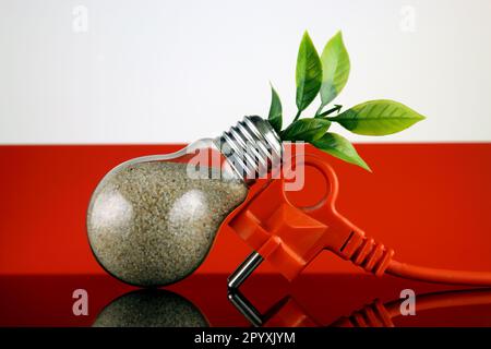 Bouchon, plante poussant à l'intérieur de l'ampoule et drapeau de Pologne. Concept d'énergie renouvelable écologique. Banque D'Images