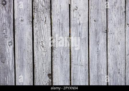 planches peintes en blanc de vielle clôture en bois à l'extérieur Banque D'Images