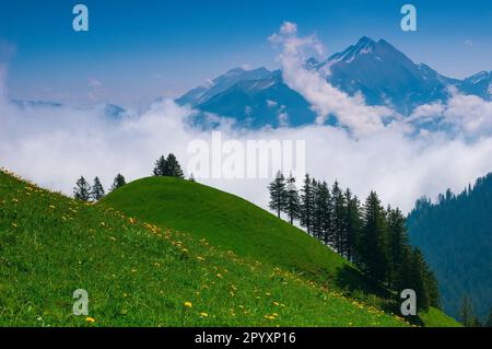 Prairies alpines verdoyantes et pics de montagne dans les alpes suisses. Nature pittoresque de la Suisse à Engelbergtal Banque D'Images